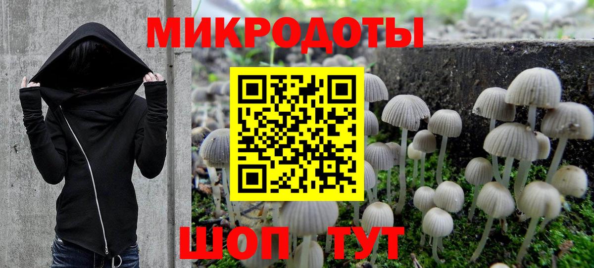 Псилоцибиновые грибы GOLDEN TEACHER  Вход с VPN  Арзамас  Псилоцибиновые грибы Magic Shrooms 